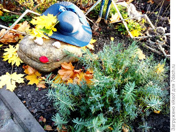 осенний прикид модели