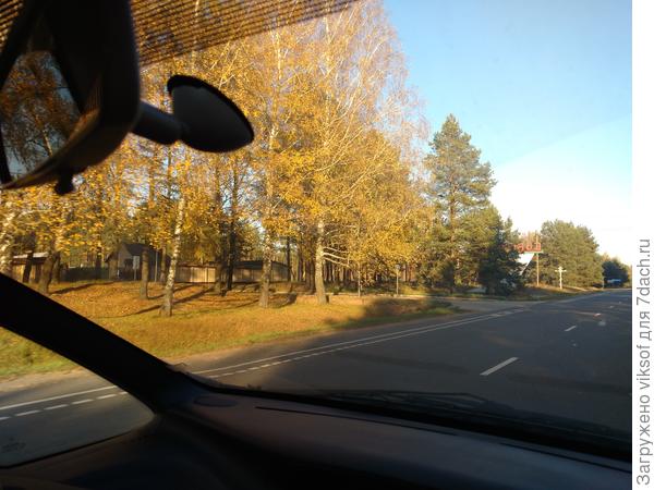 ... и поехали на дачу без Витаса...