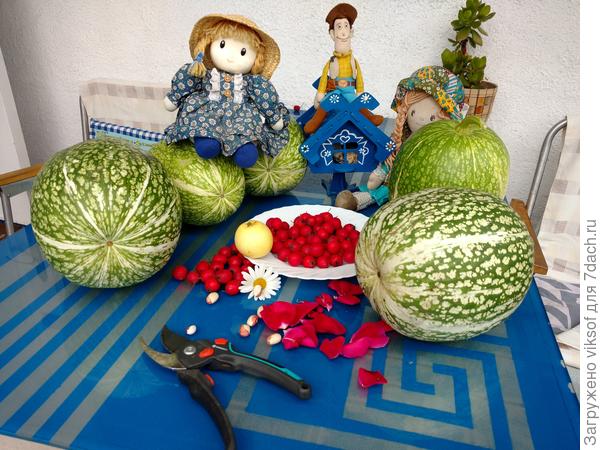 красивая осень- сытная зима