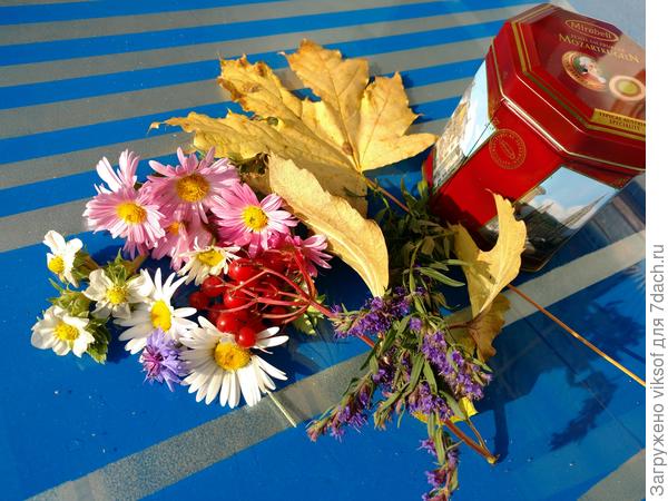 Цветы клубники, васильки и ромашки, калина и хризантемы, исооп и кленовый лист - это Осень