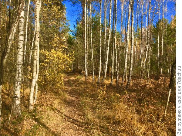 А в 15.00 вот такая красота