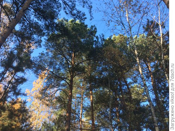 Яночка, всё эти фото без обработки и такое небо синее!