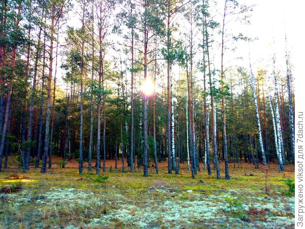 Солнышко уже уходит