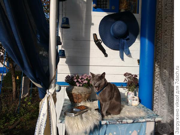 Витас, как и подобает ВИТАСУ с утра распевается