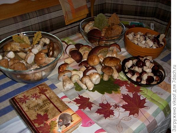 ...а потом с любовью до ночи перебираем