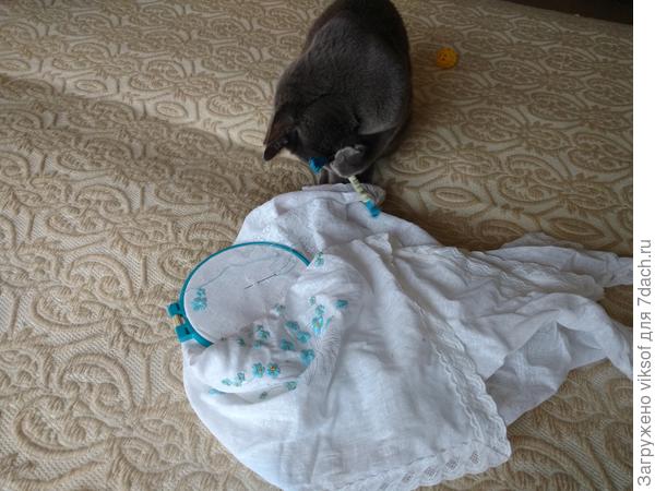 Тут и Витас забыл про хандру и стал помогать, мне НИЗЗЯ хандрить, не царское это дело, тем более это занятие не для меня пенсионерки