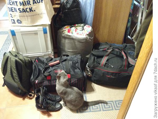 С таким багажом не заскучаешь