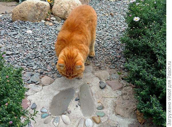 Рыжий Лёнька след брал...