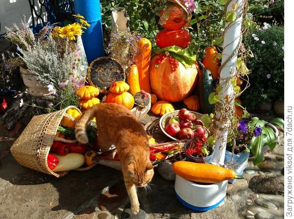 Даже Рыжий Лёнька на ярмарку пришёл, только рыбки не нашёл...