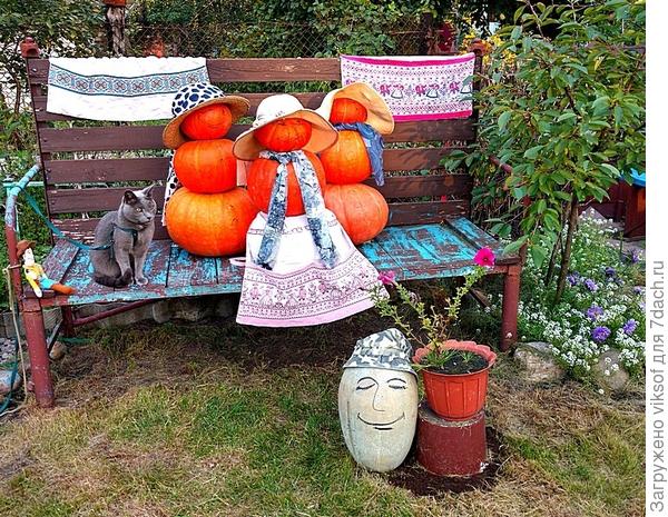 У соседки по даче устроили вечеринку, тыковки все принарядились