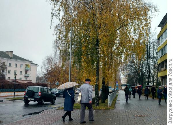 Но нам они нужны, Осень же на дворе, было-было солнышко и бабье лето было, а теперь пусть земля перед зимой напьётся, а мы под зонтиком походим, хотя я лучше в куртке водоотталкивающей с капюшоном, жаль муж не любит дождливую погоду, приходится одной по городу топать...