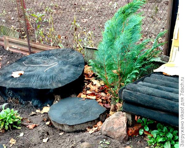 Эти большие спилы он уже давно облюбовал, ведёт наблюдение за соседями, а я осенью их покрыла отработанным маслом, вот и сошью ему ещё одну перинку джинсовую