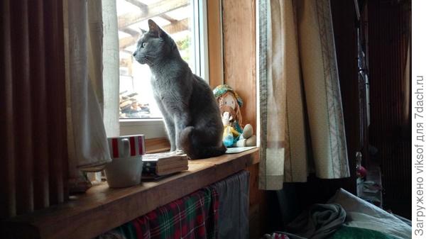 так МОЯ окна поменяла...