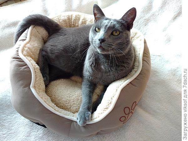 мне к юбилею подарили, я его согрел, заходи!