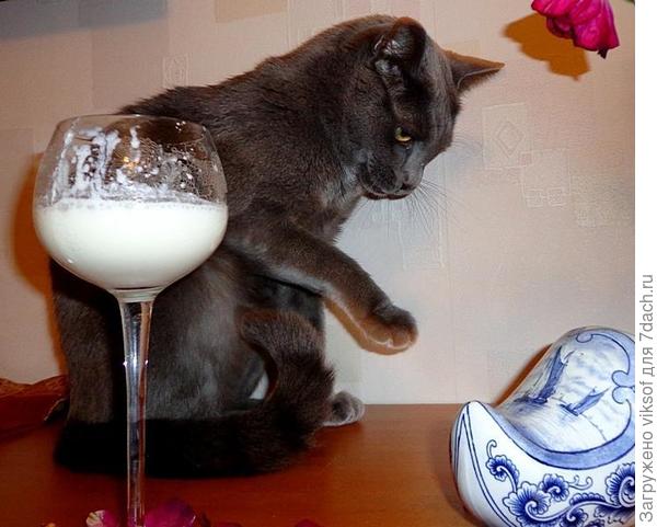 Я в детстве молоко не очень любил, НО НИЗЗЯ было что-то другое