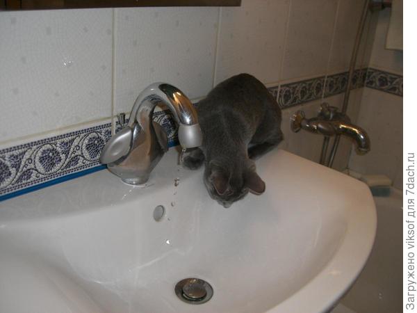 и любопытным