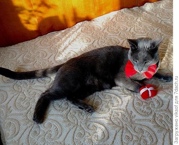 Прондий! Приходи!