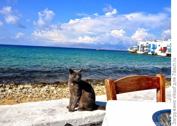 А на море х-о-р-о-ш-о! Айда сюда! (фото из интернета)