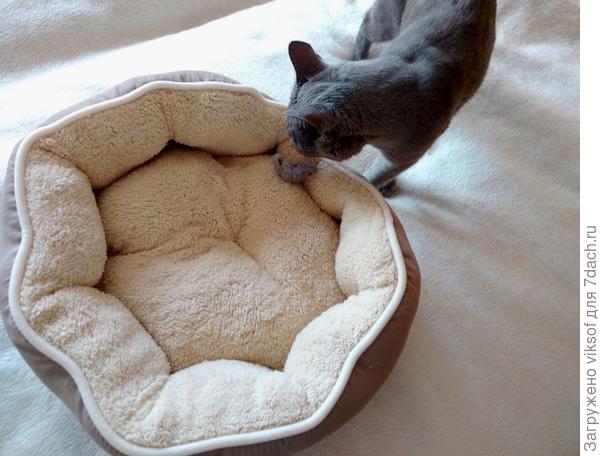 а устанешь, так у меня новая лежанка мягонькая и тёпленькая - тут и отдохнёшь