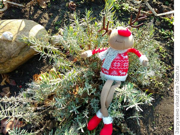 А ещё мне дочка подарила оленёнка и я его познакомила с лавандой