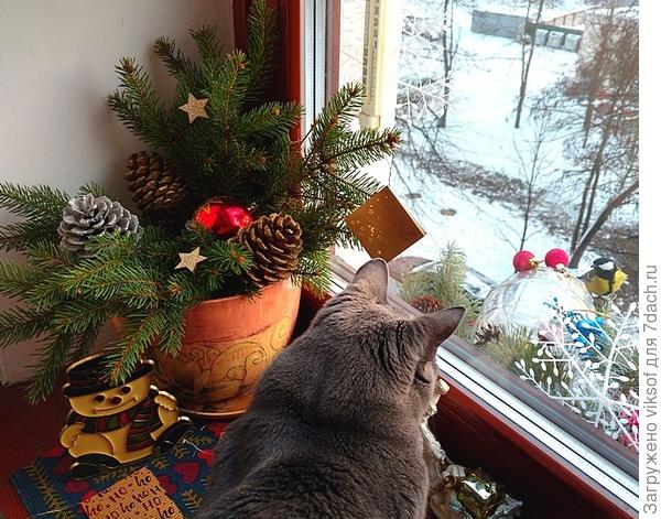 и для синичек будет праздник