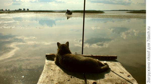 каждую рыбёшку через ОТК пропустил