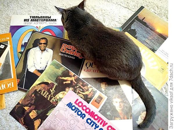 Лев! Я тебя жду, вот уже и музыку подбираю - праздник продолжается!