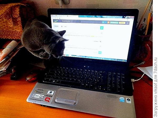 а я пока гляну кто в Семидачье сейчас онлайн, может Кузьма заглянет к нам...