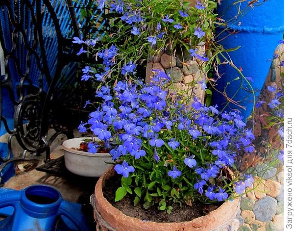 а получаешь море удовольствия!