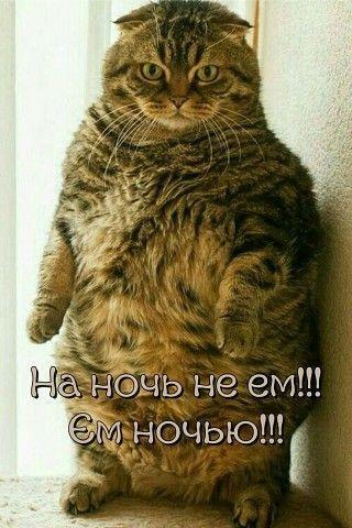 Это шутка, но порой во время конкурса так и было!