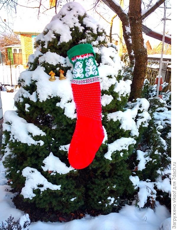 и коника моя снежком была укрыта... как же хочется чистого, пушистого!