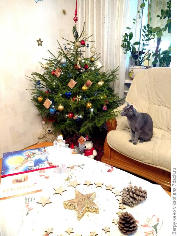 Привет твоим пушистикам от Витаса