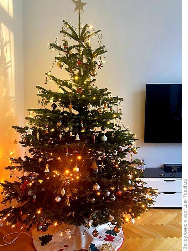 А эта красавица у детей