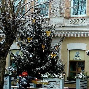 возле любимого кафе