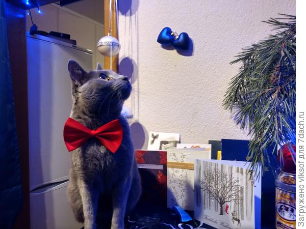 А я с телефоном кадров 50 делаю, в итоге  пару снимков нормальные.., так что у Ватсона всё впереди!