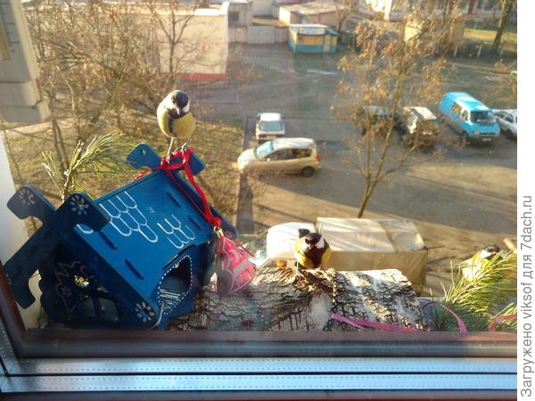 А синичек прямо из спальни кормим, вот они уже ждут, сейчас насыплю