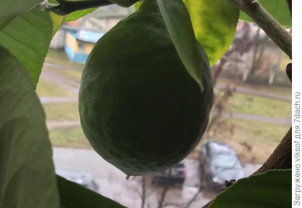 а этот на подходе