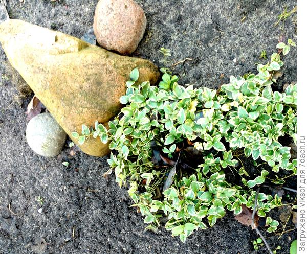 Вот такая у нас Зимушка-Зима!