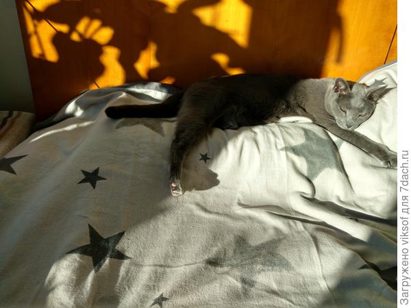 Сейчас Витас отдыхает, но уже скучает по даче