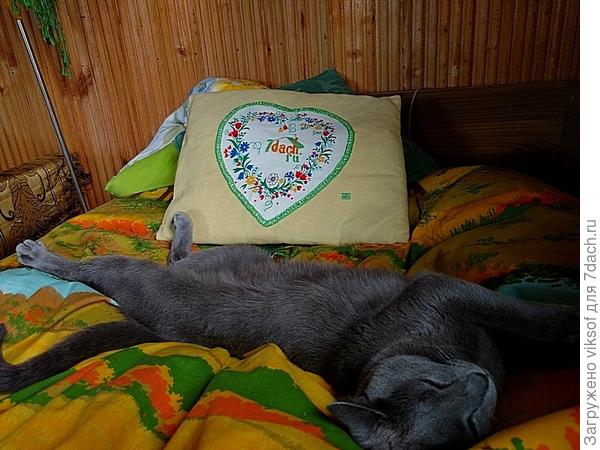 семидачная, появилась, потому что в фото конкурсе была номинация,