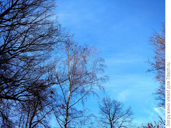 Небо синее, холодает, у нас всего +2,