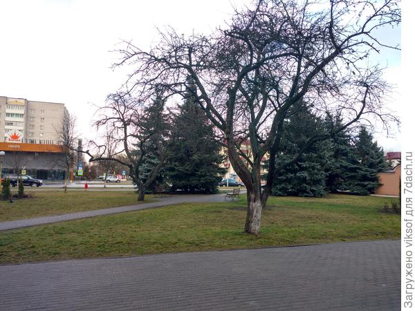 Это разве Зима...снега хочется, метели...