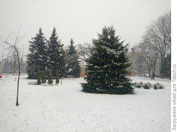 Номинация - первый снег в конце января