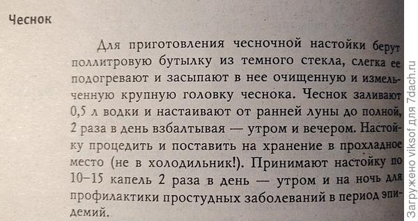 О водке. с теплотой и благодарностью. Делимся полезными рецептами и идеями! () О водке. с теплотой и благодарностью. Делимся полезными рецептами и идеями!
