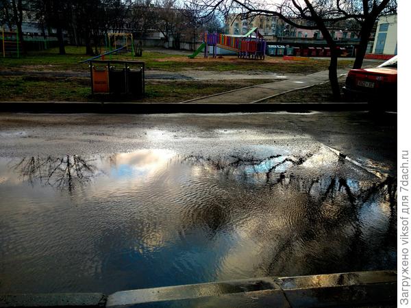 Вот и наша красавица Лужа!