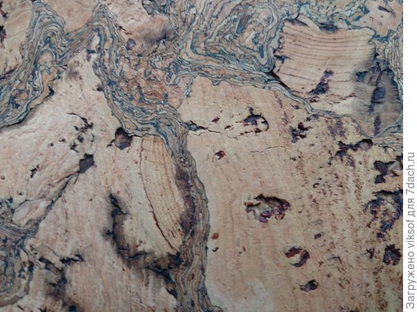 Камера не передала теплого, янтарного цвета, к сожалению, но на самом деле здесь больше теплоты, семена фотографии