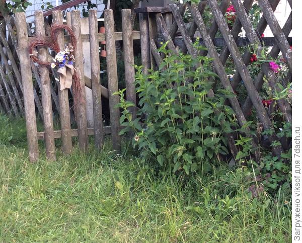 Здесь живет любовь!