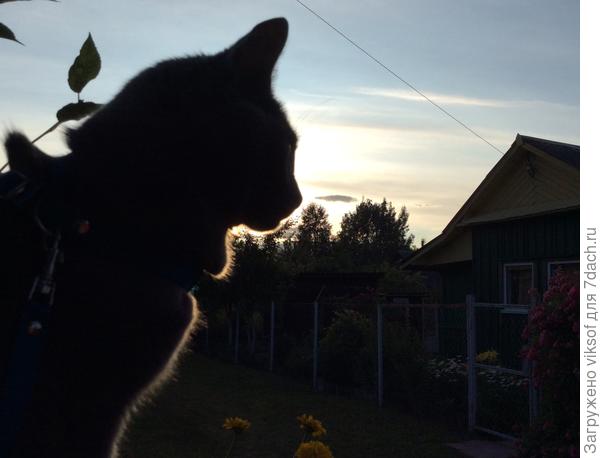 Вот как не любить моего Витаса!