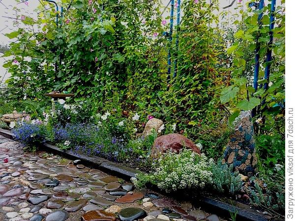 этой осенью срезала все клематисы, потому что весной надо покрасить перголу,