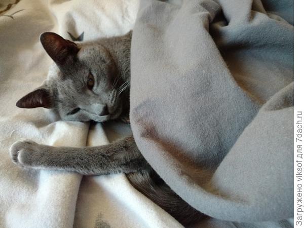 Умаялся всех поздравляючи, щасс отдохну и снова праздновать продолжим!